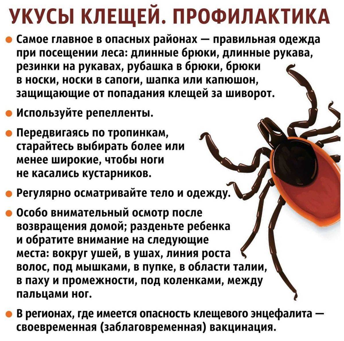 Как выглядит укус клеща, какие сипмтомы проявляются у человека?