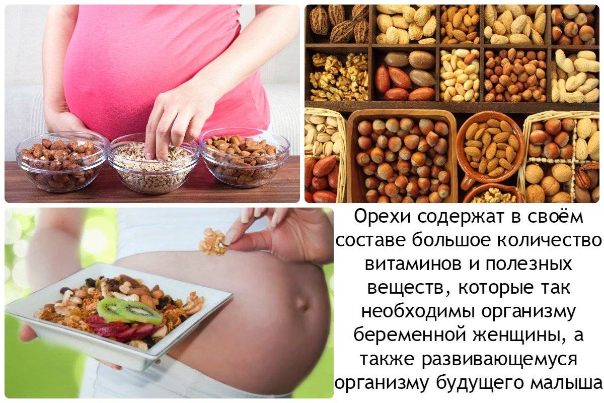 Можно ли во время беременности на ранних и поздних сроках есть креветки, в каком виде их лучше употреблять?