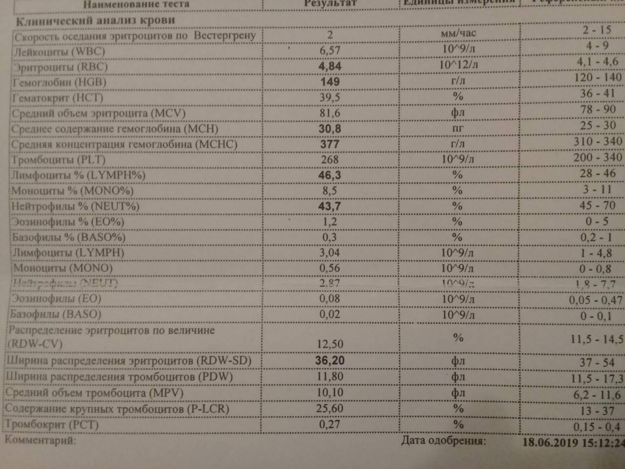 Rdw в анализе крови: почему он повышен, расшифровка результатов