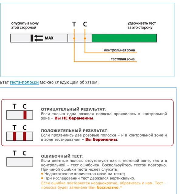 Когда можно делать тест на беременность, инструкция, оценка результата
