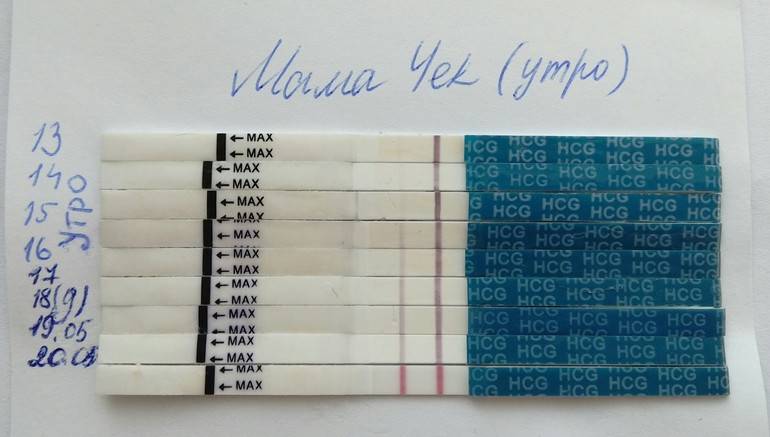 Тест на беременность: на какой день после овуляции можно делать, когда покажет правильный результат?