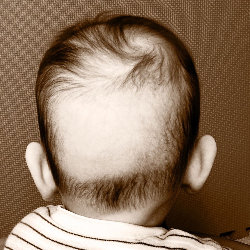 У ребенка плохо растут волосы на голове – в чем причина? - ritty.ru
