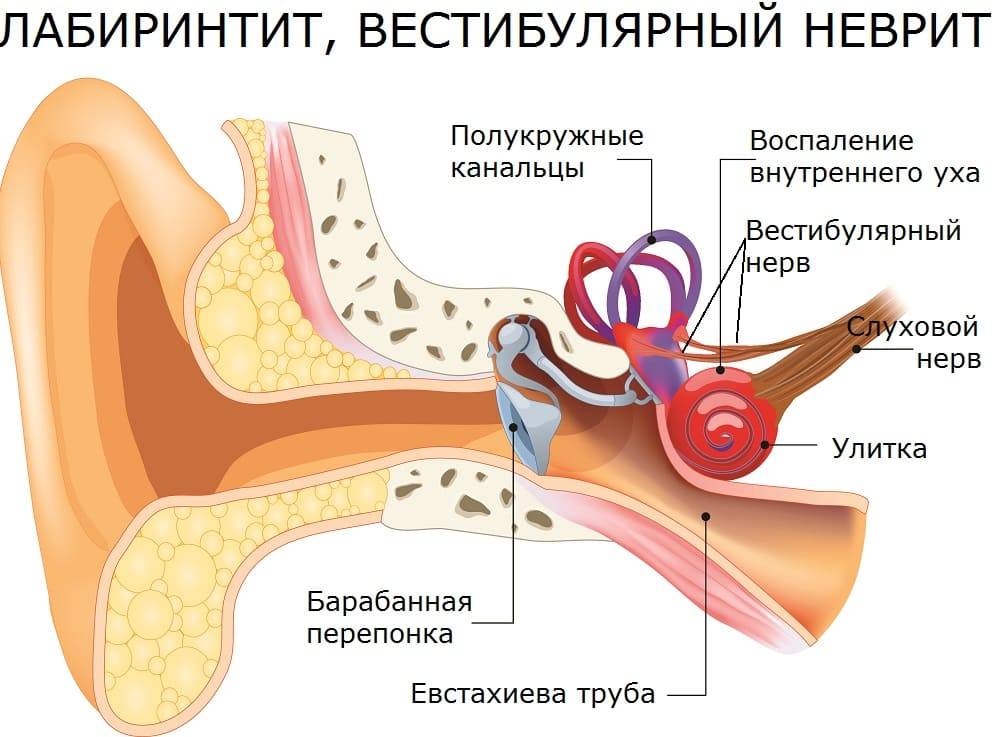 Почему заложен нос может привести к закладыванию ушей: причины и способы лечения