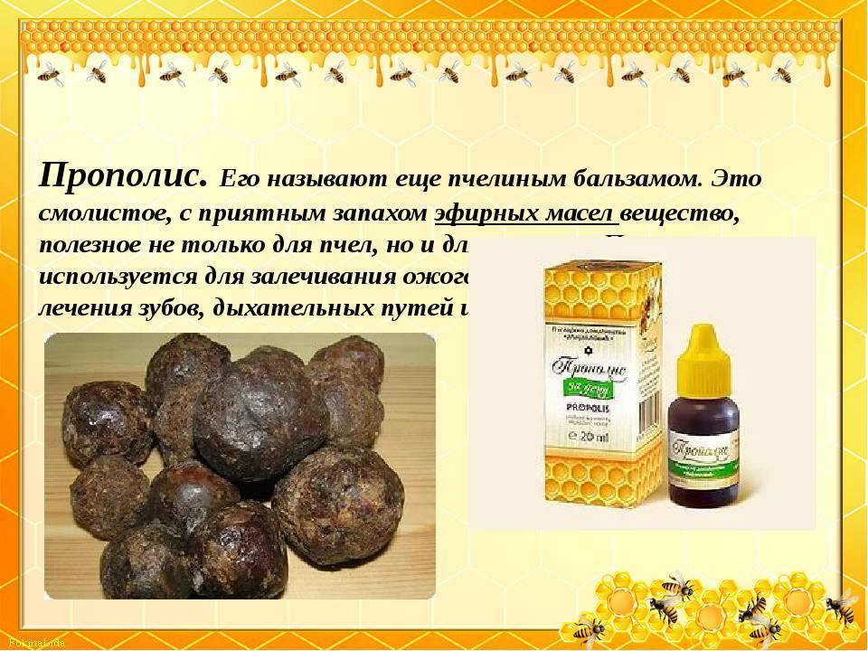 Прополис детям для иммунитета: как давать, как приготовить настойку