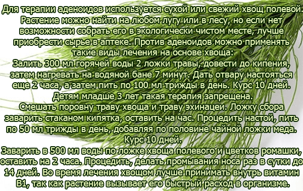 Лечение аденоидов у ребенка в домашних условиях: рецепты народной медицины