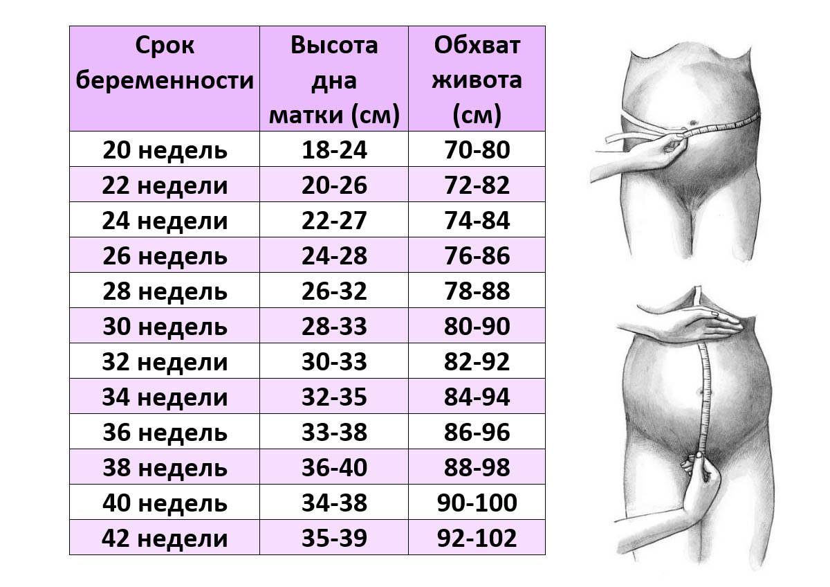ᐉ измерение живота беременной. отклонения и нормы: окружность живота по неделям беременности - ➡ sp-kupavna.ru