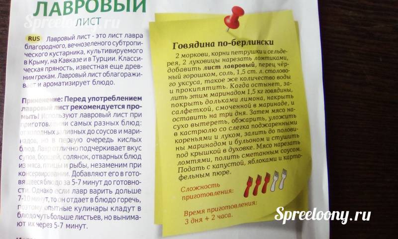 Как сорвать раннюю беременность дома лавровым листом. прерывание беременности: наиболее эффективные методы