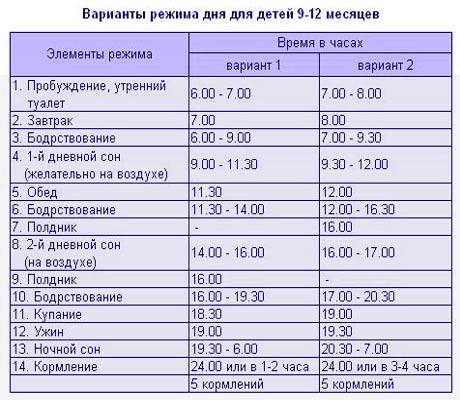 Режим дня у ребенка в 6 месяцев