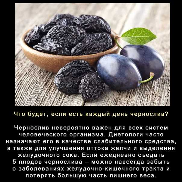 ᐉ чернослив: польза и вред для беременных. употребление чернослива при беременности - ➡ sp-kupavna.ru