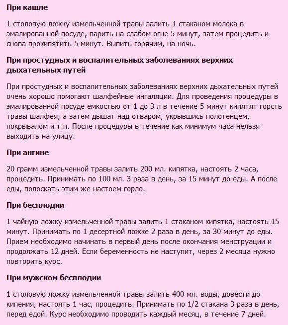 Шалфей при планировании беременности: как принимать, показания, дозировка, отзывы