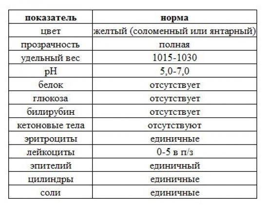 Причины повышения количества лейкоцитов в моче у грудничка и норма показателя у ребенка