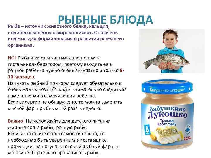 Рацион и меню питания ребенка в 10 месяцев | уроки для мам