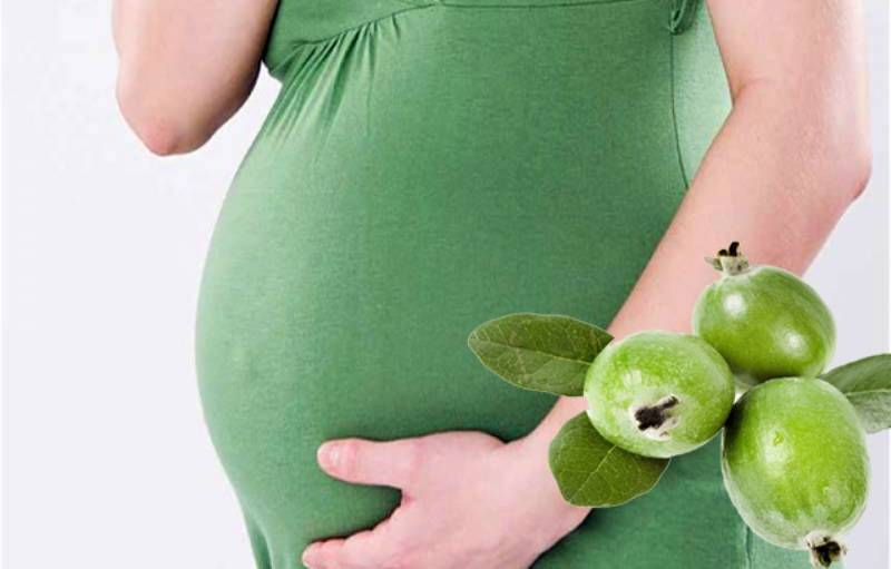 Чернослив во время беременности: польза и вред сухофрукта для организма