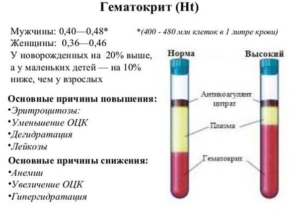 Гематокрит в оак