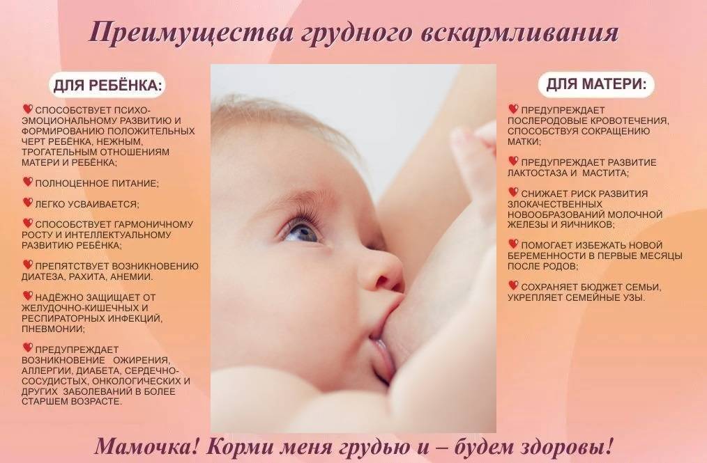 Чем заменить грудное молоко после года ночью при отлучении от груди