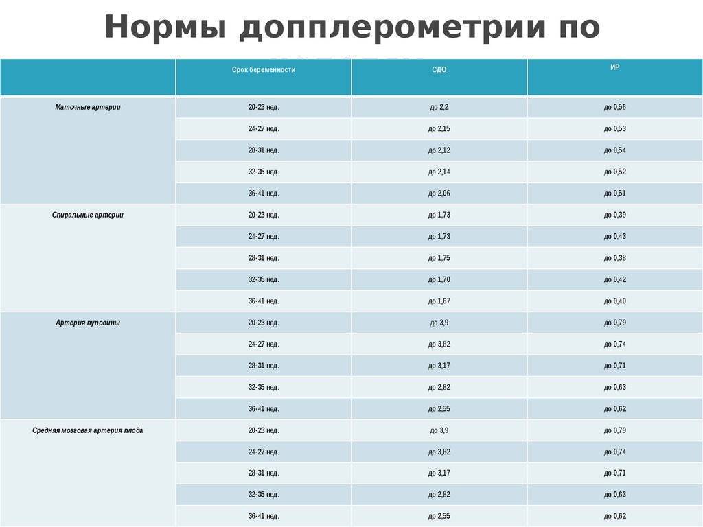 Значение проведения узи с допплером при беременности