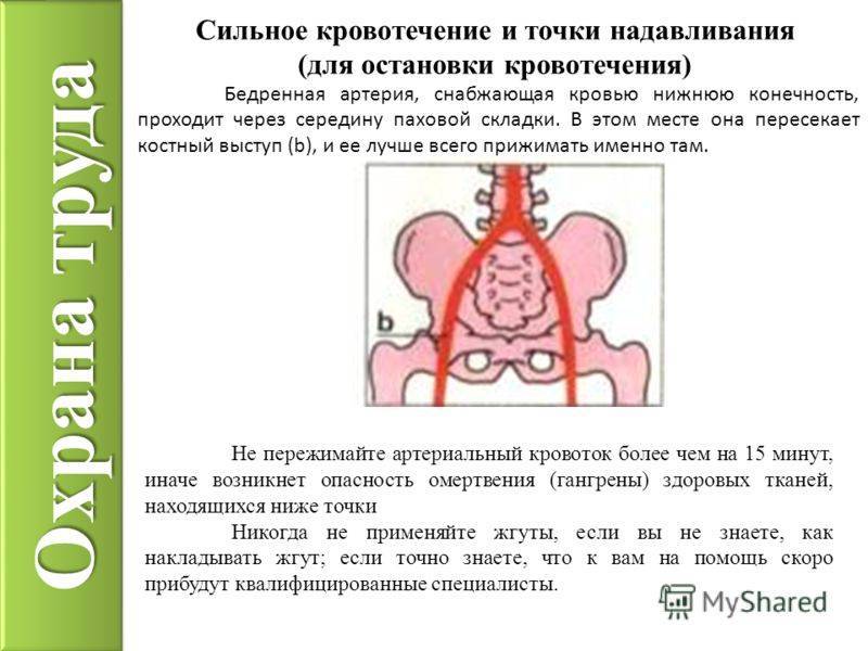 Маточные кровотечения - причины и симптомы, как остановить. дицинон при маточных кровотечениях