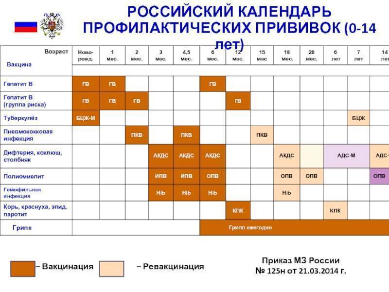 Вакцина против гемофильной инфекции: схема вакцинации ребенка, инструкция