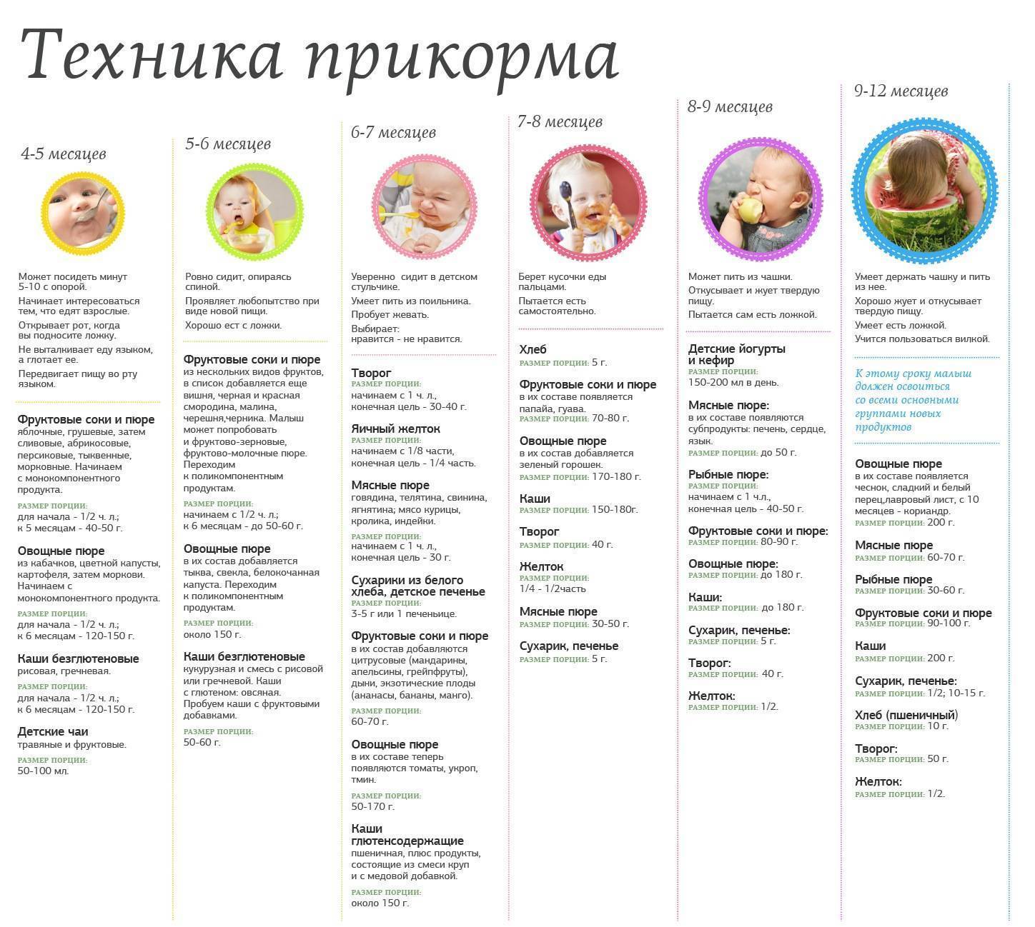 С какого возраста можно абрикосы ребёнку | уроки для мам
