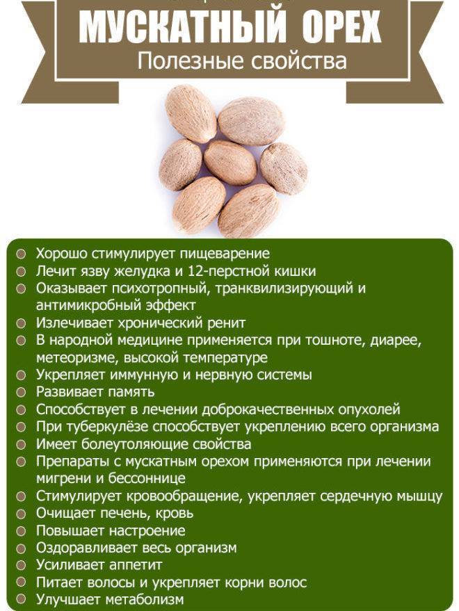 Орехи при беременности: польза и вред, грецкие, кедровые, бразильский, макадамия, мускатный