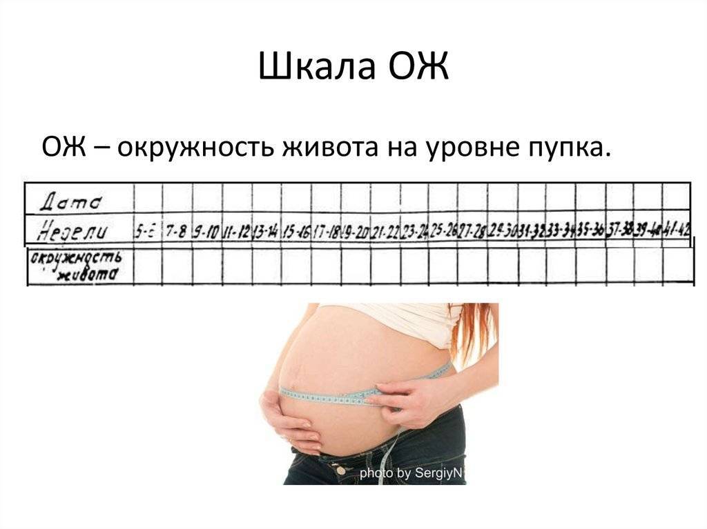 Окружность живота плода на 29 неделе беременности