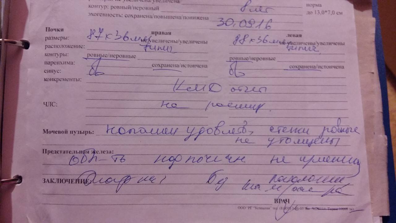 Как делают узи диагностику почек у детей и что делать, если на узи исследовании у ребенка увеличена почка?