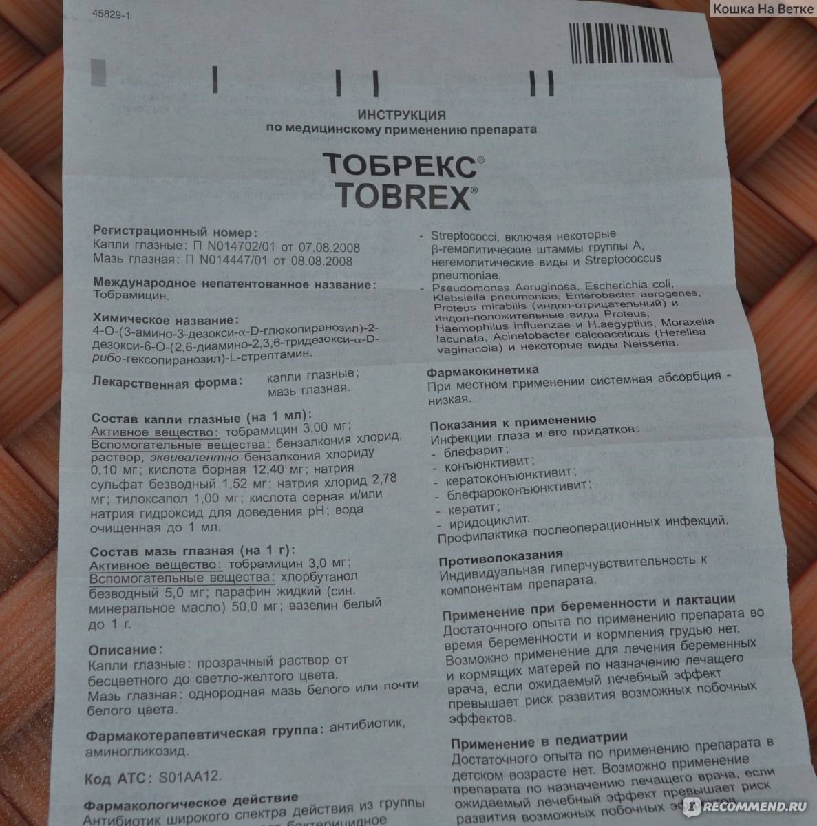 Глазные капли тобрекс: инструкция по применению, показания и противопоказания, аналоги