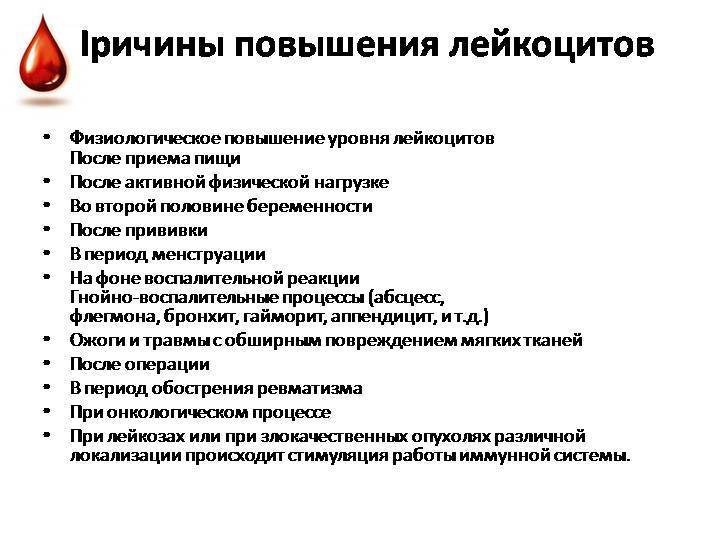 Лейкоцитоз. почему повышены лейкоциты в крови, норма содержания. что такое лейкоциты - medside.ru