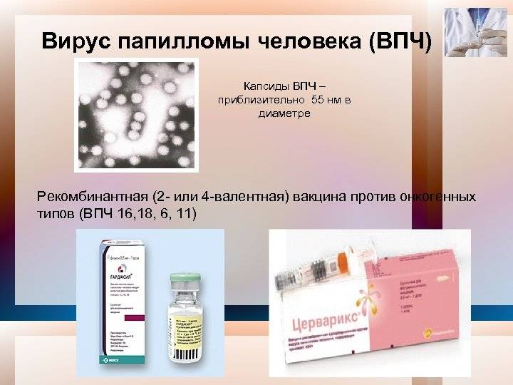 Вакцинация против впч: свежие данные и перспективы