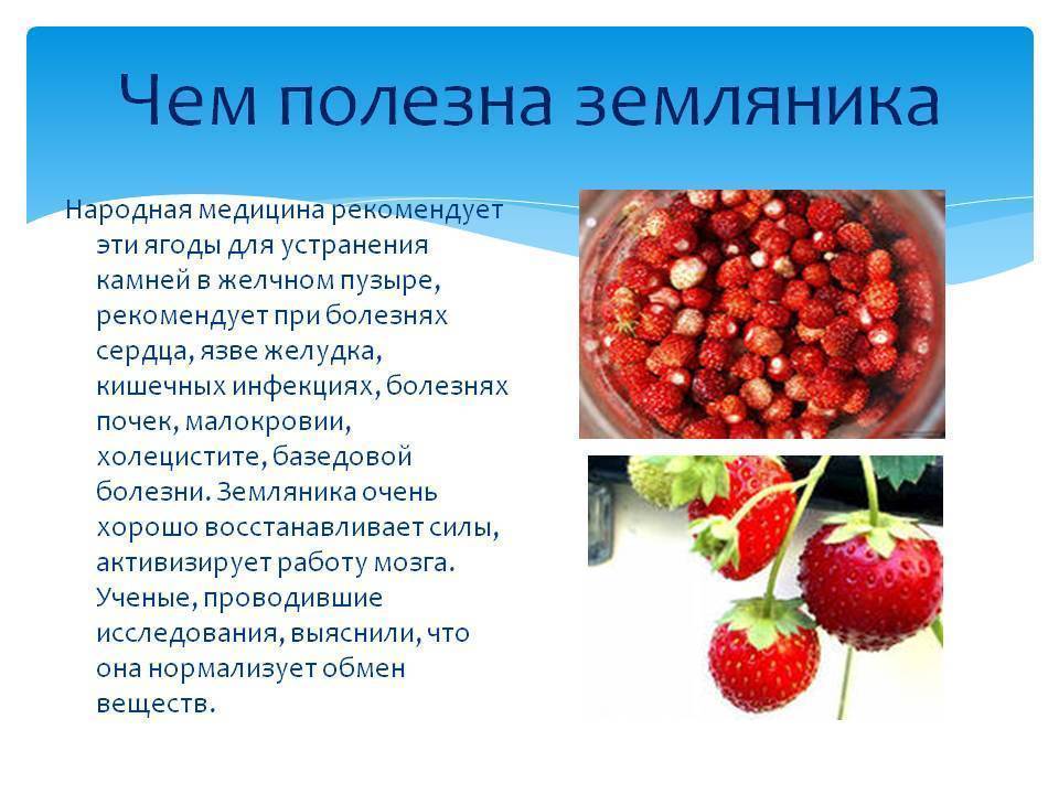 Аллергия на клубнику: фото, симптомы, лечение у ребенка и у взрослого