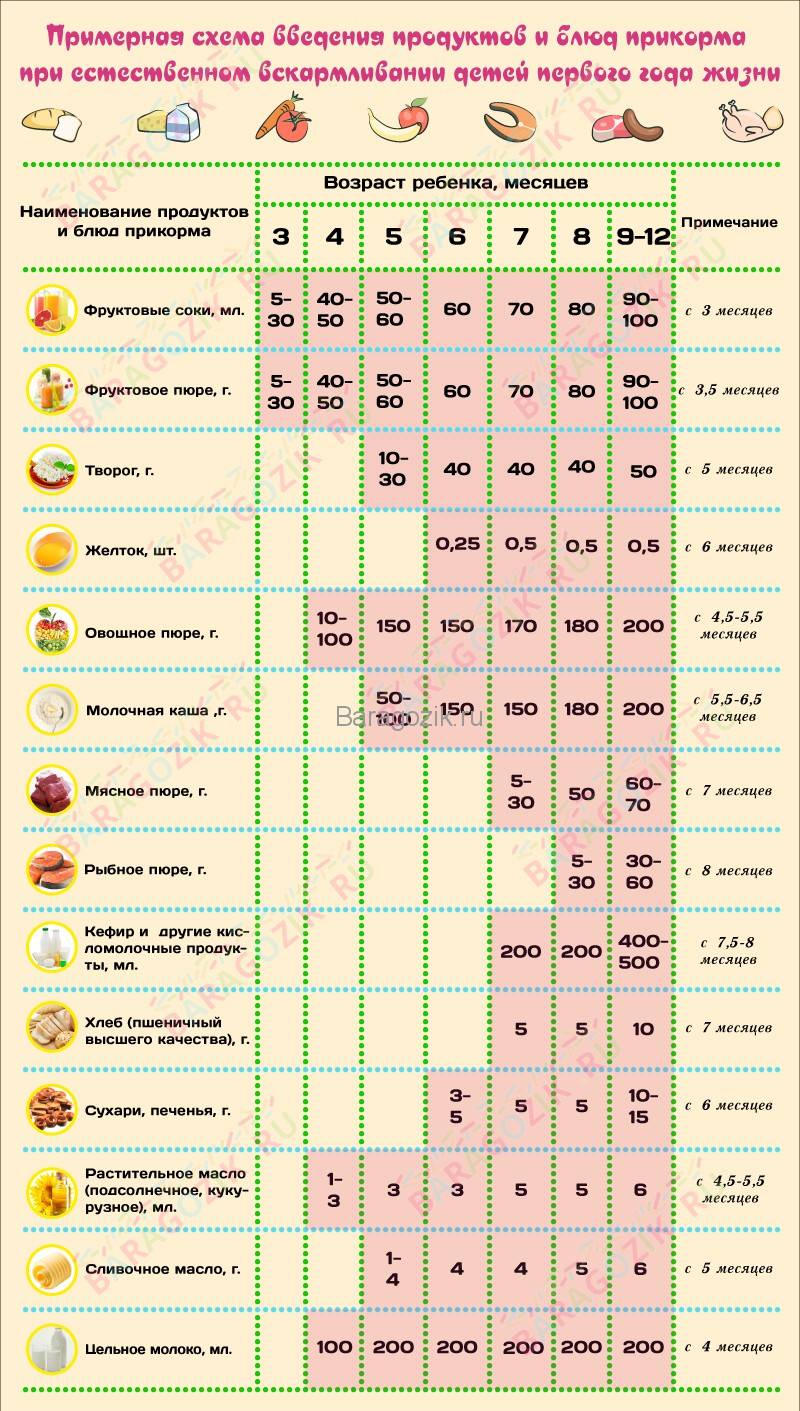 Питание грудничков: с какого возраста можно давать ребенку картошку? рецепты блюд и практические рекомендации мамам