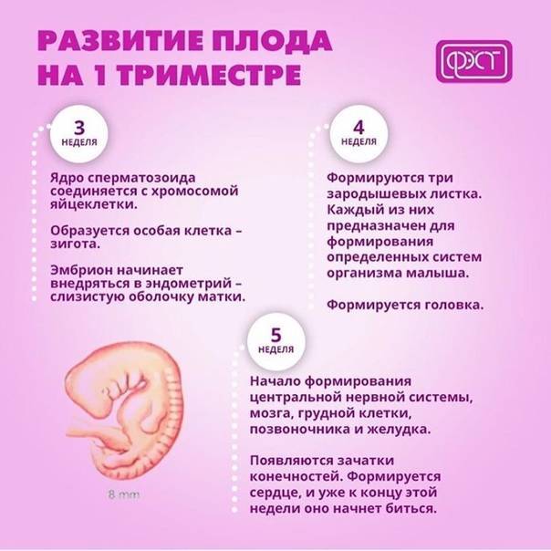 Волосы во время беременности