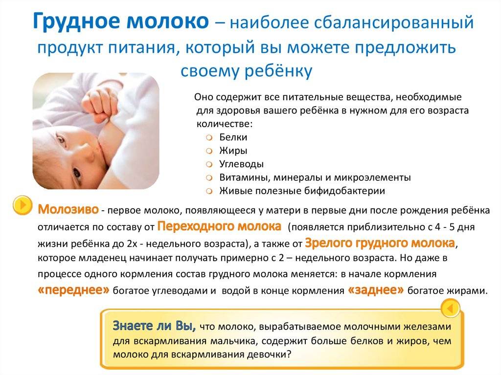 О пользе гв в частности и после 1,5- 2 лет