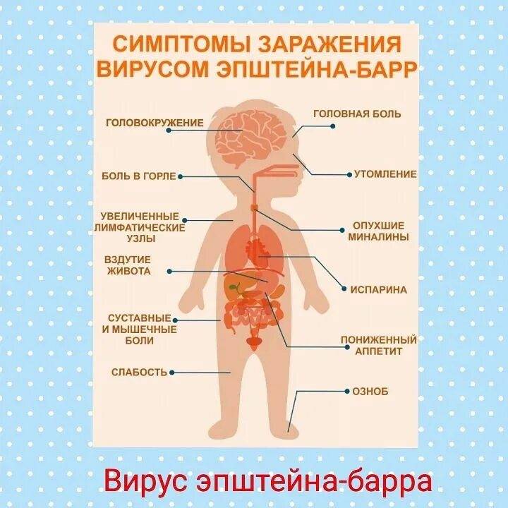 Герпес 6 типа у детей - мнение о лечении доктора комаровского