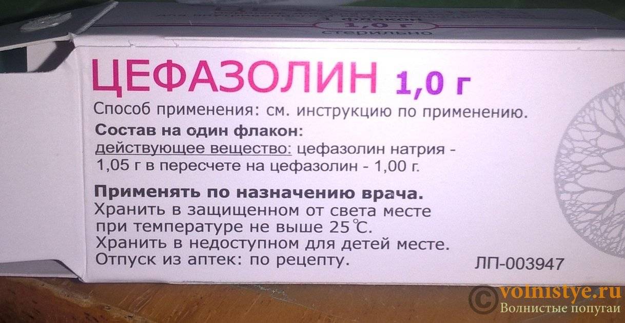 Инструкция по применению “цефазолина”: дозировки раствора для уколов детям при ангине и других заболеваниях