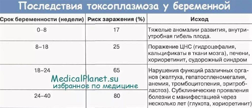 Токсоплазмоз при беременности: последствия для плода и здоровья матери