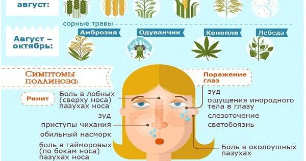 Аллергия на пыльцу - симптомы, причины, профилактика и лечение