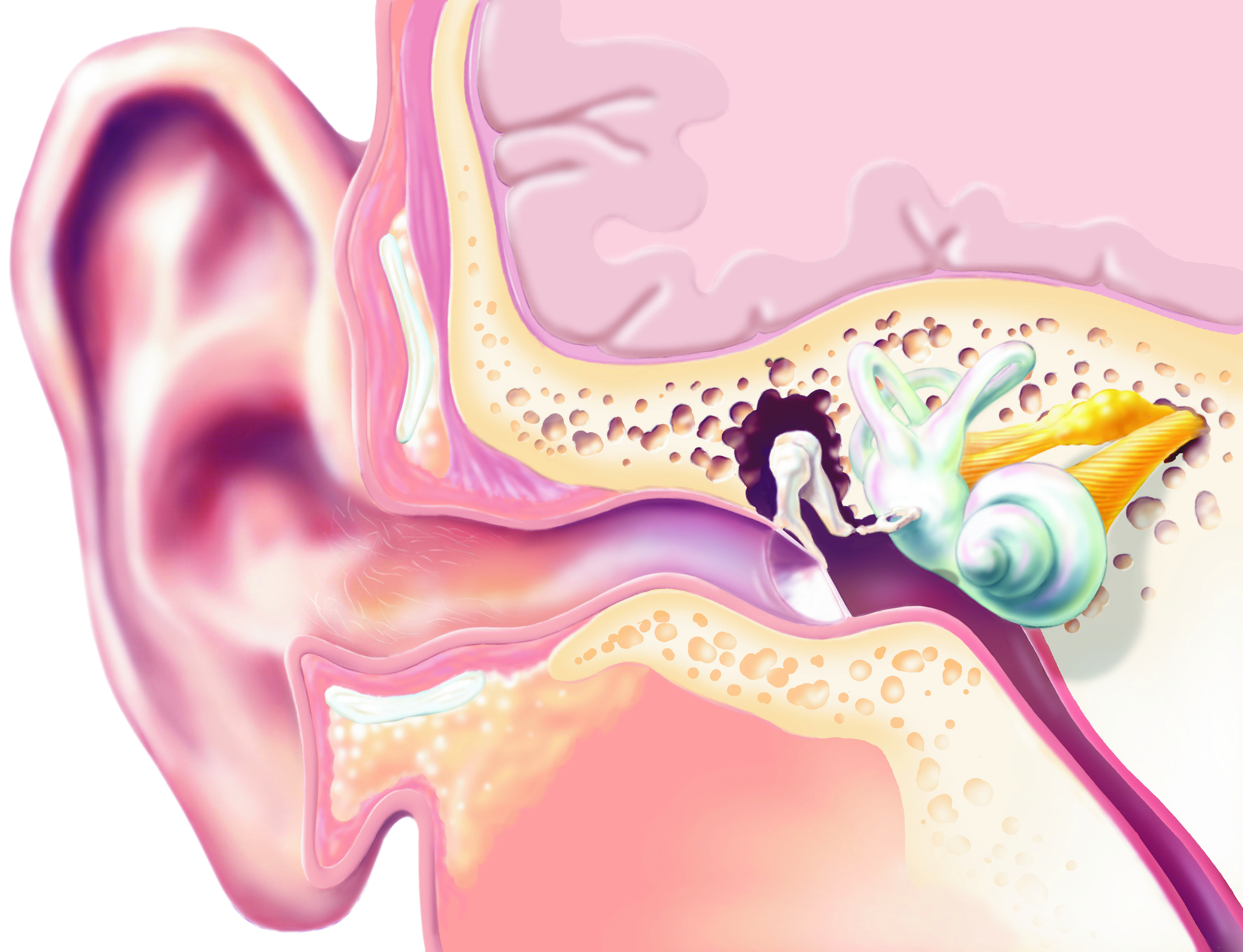 Запах из уха у грудничков и детей старшего возраста: причины, сопутствующие симптомы, лечение