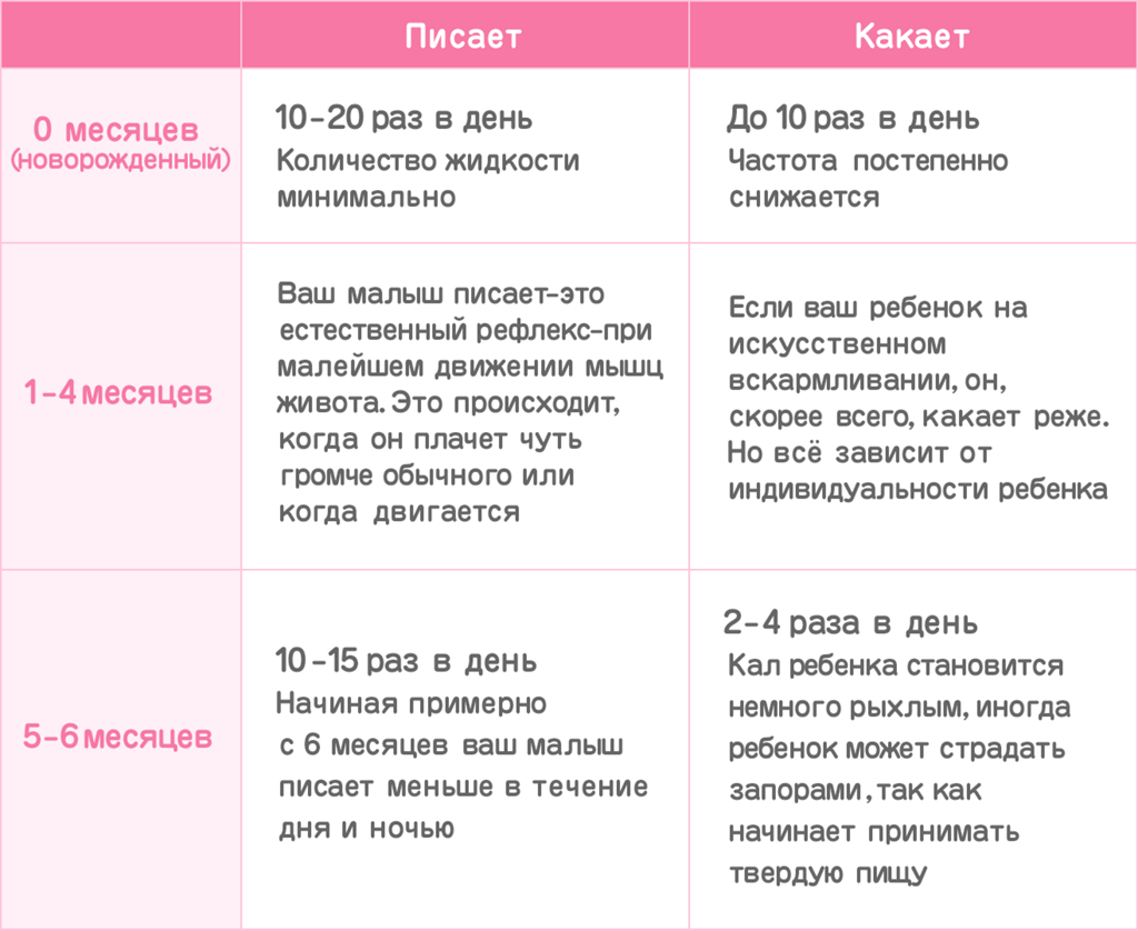 Сколько раз в день должен какать новорожденный: стул ребенка с 1 месяца до года