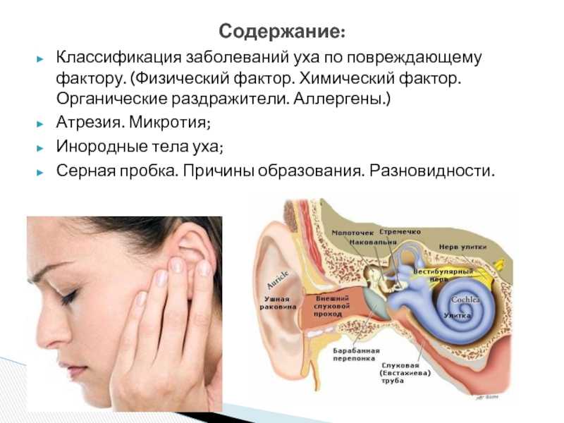 Заложенность уха (ушей). лечение заложенности одного или обоих ушей