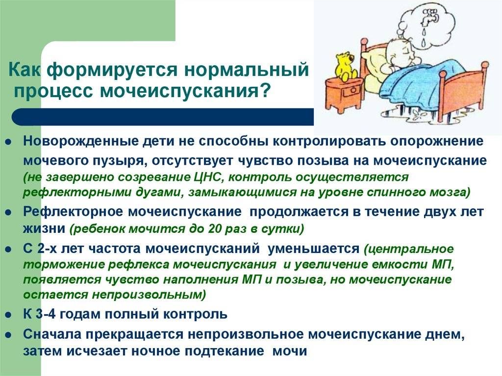 Ребенок редко мочится: выявление причины нарушения и общие принципы лечения