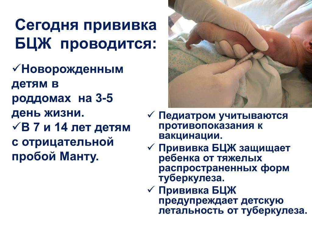 Прививки новорожденным. быть или не быть? — вот в чем вопрос....