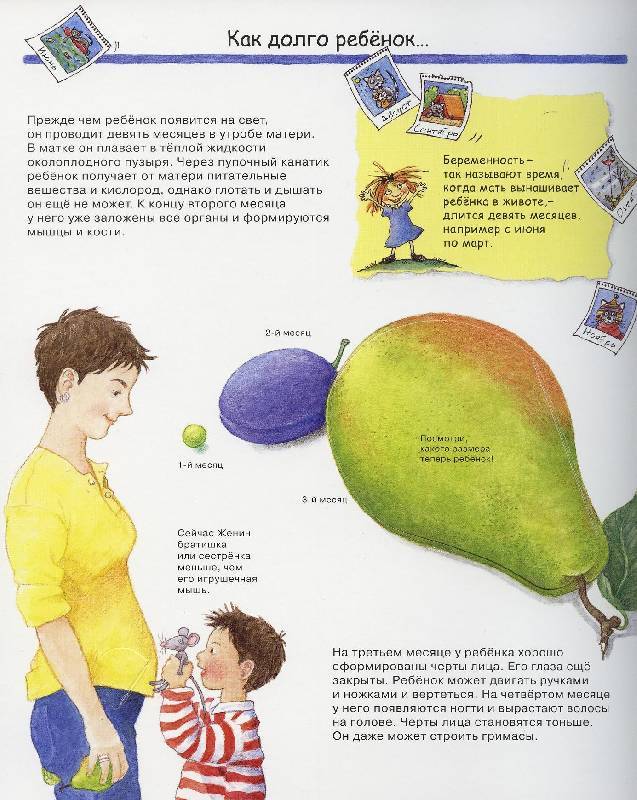 Откуда берутся дети: как правильно ответить ребенку 3-6 лет, 6-10 лет и старше?