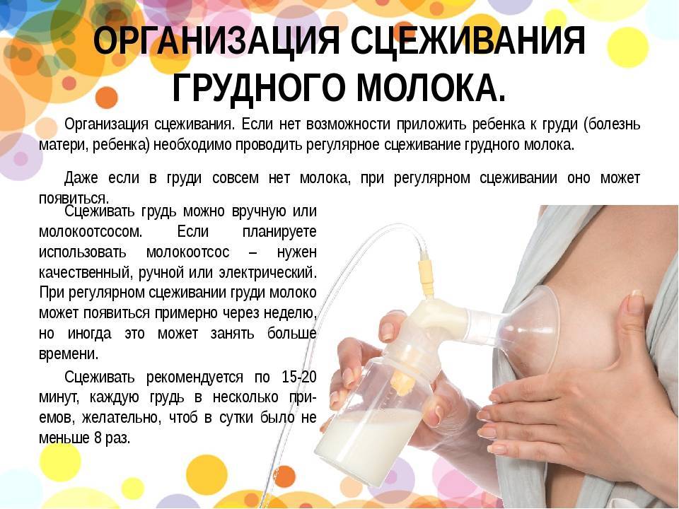 Когда приходит молоко после родов и кесарева сечения: что делать, если его нет, как наладить лактацию