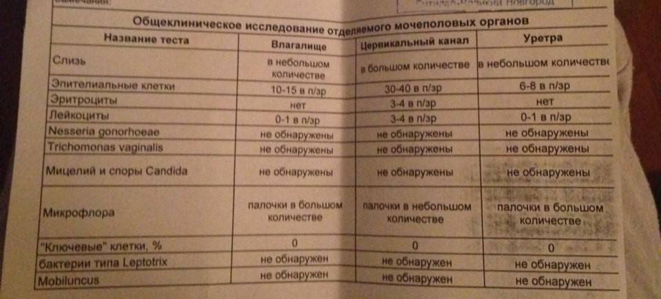 Эпителий в моче у ребенка