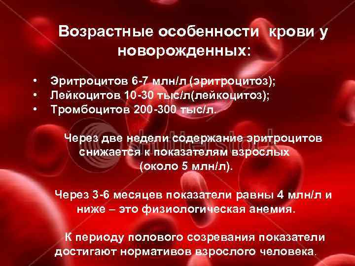 Геморрагическая болезнь новорожденных (поздняя, ранняя): лечение, симптомы