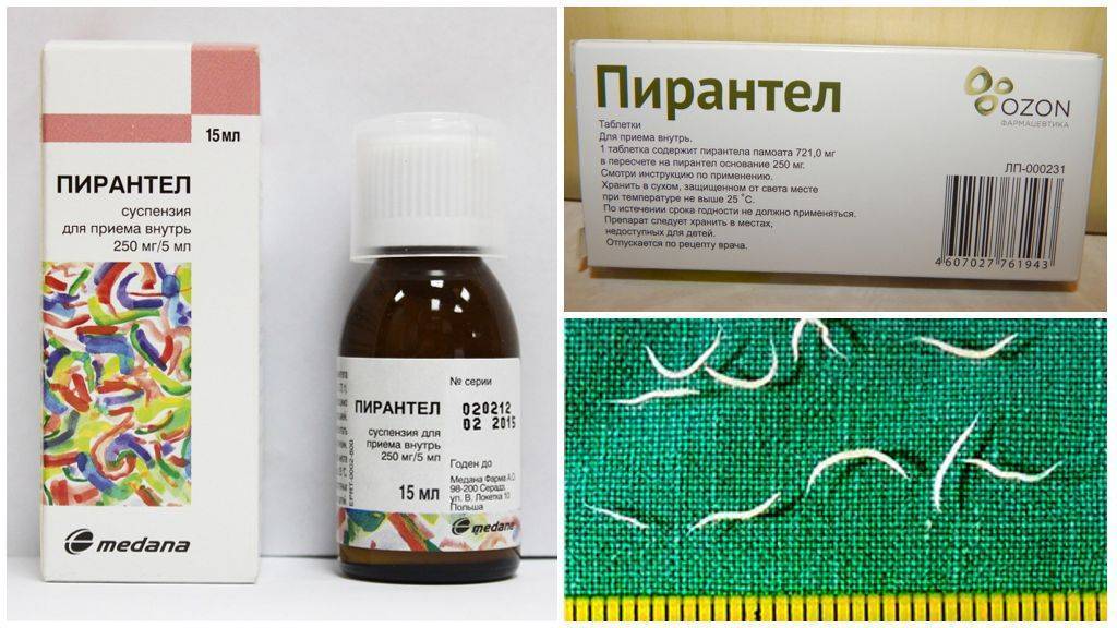Как избавиться от глистов и паразитов в домашних условиях за 1 день взрослым и детям?