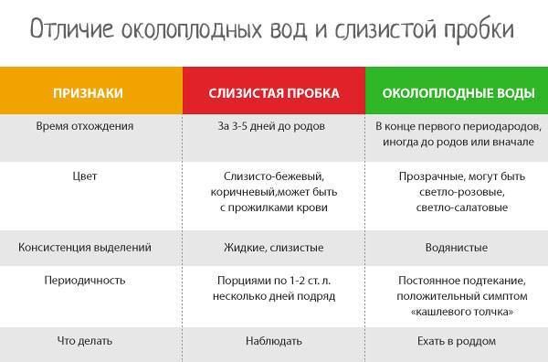 Второй триместр беременности