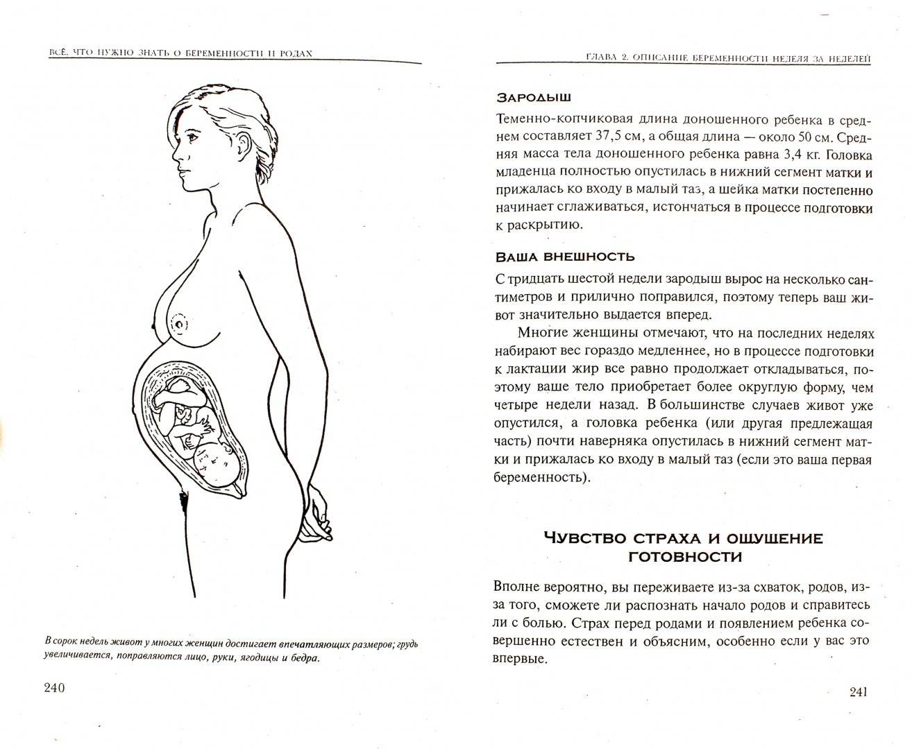 Первая беременность: что нужно знать, особенности планирования и родов, в том числе при многоплодии, факторы риска