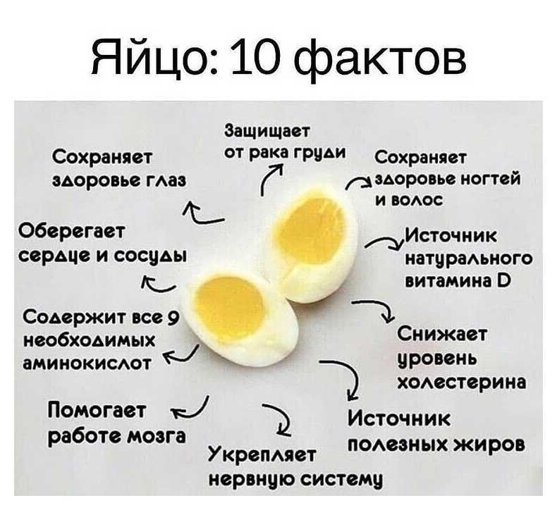 Яйца при грудном вскармливании: можно ли вареные или омлет в первый месяц гв
